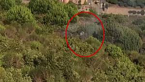 Aydos ormanındaki skandalda karar belli oldu!