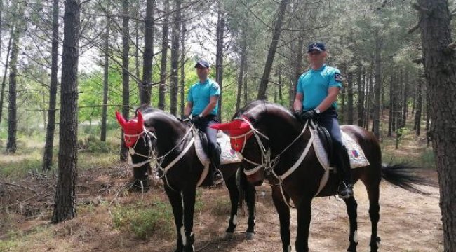 Belgrad Ormanı'nda atlı birliklerle denetim