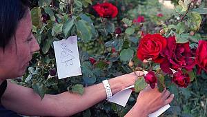 Hıdırellez ne zaman? Hıdırellez'de neler yapılır, nasıl dilek tutulur?