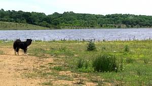 İl Jandarma Komutanlığı ekipleri, piknik ve mesire alanlarını denetledi