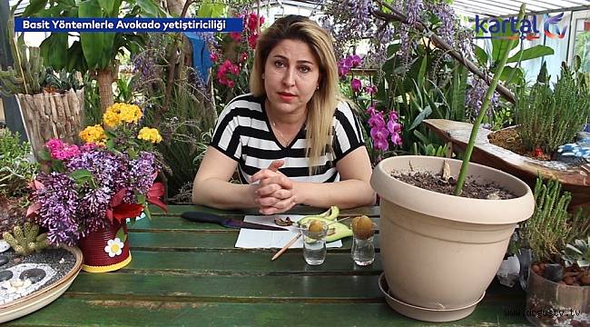 Kartal Belediyesi, Evde Bitki Yetiştirmek İsteyenler İçin YouTube Videoları Hazırladı