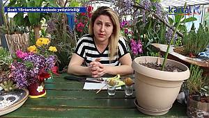 Kartal Belediyesi, Evde Bitki Yetiştirmek İsteyenler İçin YouTube Videoları Hazırladı