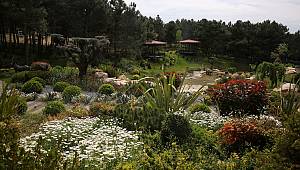 Millet Bahçesi Ümraniyeliler İçin Hazırlanıyor 