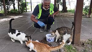 Patili Dostlar, Sokağa Çıkma Yasağı Süresince de Kartal Belediyesi’ne Emanet