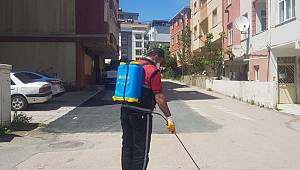Pendik te sivrisinekle mücadele başladı