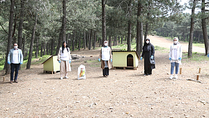 Sultanbeyli Belediyesi Minik Dostlarımızı da Unutmadı