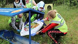 Sultanbeyli’de Minik Dostlarımız İçin Seferberlik