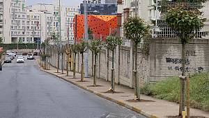 Ümraniye Yeni Dikilen Ağaçlarla Yeşile Büründü 