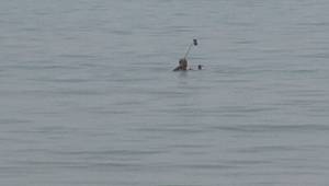 Yer: İstanbul! Yasağı delip denizde canlı yayın yaptı