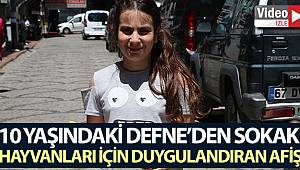10 yaşındaki Defne'den sokak hayvanları için duygulandıran afiş