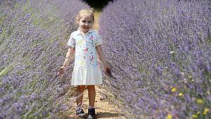 Antalya'da denize 500 metrede lavanta şöleni