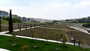 Başkan Çalık: 'Beylikdüzü'nün her tarafını yeniliyoruz'