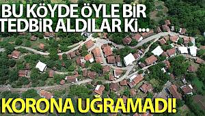 Bu köyde öyle bir tedbir aldılar ki, koronavirüs hiç uğramadı...