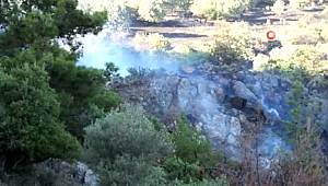 Burhaniye'de zeytinlik alanda yangın çıktı, 5 hektar alan zarar gördü