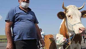 Diyanet İşleri Başkanlığı yayımladı! Kurban tedbirleri açıklandı