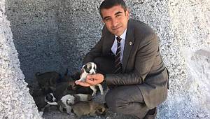 Hayvanların üşüdüğünü gördü, 'Köpek Köyü'nü kurdu