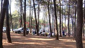 İstanbullular dikkat! Koronavirüsten sonra ‘Lyme’ tehlikesi