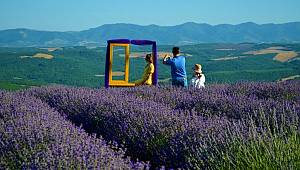 İstanbullular, Tekirdağ'daki mor tarlalara akın etti