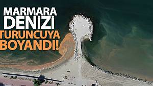 Marmara Denizi turuncuya boyandı