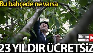 Bu bahçedeki sebze ve meyveler 23 yıldır ücretsiz