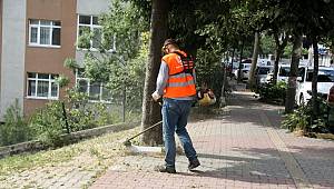 Eyüpsultan yaz kampanyası çalışmaları