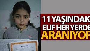 Giresun'un Bulancak ilçesi Semen Yaylası'nda kaybolan Elif her yerde aranıyor