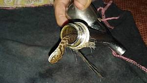 Gözlerine inanamadılar... Musluktan yılan çıktı