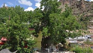 Gümüşhane'de vatandaşlar tedirgin: Sadece bir çözüm bulunmasını istiyoruz