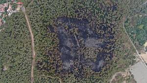 Heybeliada’daki hasar böyle görüntülendi