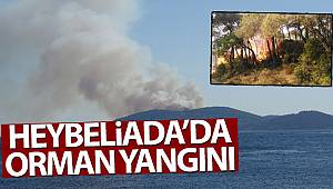 İstanbul Heybeliada'da orman yangını