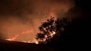 İstanbul Sarıyer'de orman yangını