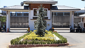 İstanbul’un En Güzel Şehir Ormanı Beyoz'da Açıldı