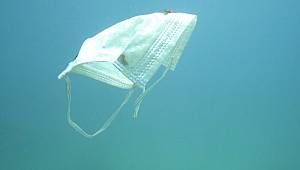 Türkiye'de deniz kirliliği - Maske, eldiven, cep telefonu, kurşun: Antalya'da denizin dibinden çıkanlar