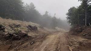 Uludağ'da 1500'e yakın ağaç kesildi! Doğaseverlerden tepki