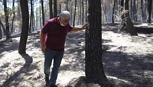 Aydos’ta Yangın Paniği