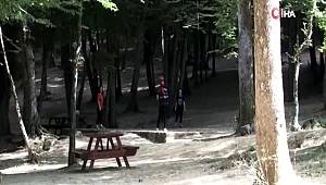 Bayram sonrası Belgrad Ormanı sessizliğe büründü