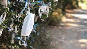 Büyükada 'da tepki çeken görüntü