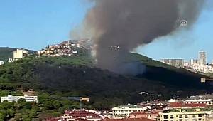 Maltepe'de ormanlık alanda yangın 