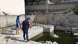 Maltepe’de vektörle mücadele devam ediyor