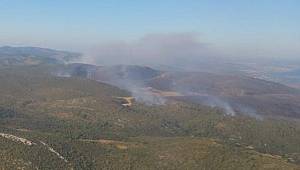 Son dakika…Çeşme’deki yangına müdahale sürüyor…