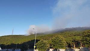 Son dakika… İstanbul’da ormanlık alanda yangın!