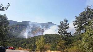 Ankara’da bir yangın daha! Bu kez milli park…