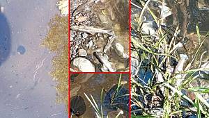 Ankara’nın içme suyunda kimyasal alarmı