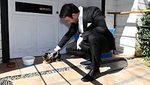 BEŞİKTAŞ BELEDİYESİ CAN DOSTLARINA SAHİP ÇIKARAK EVCİL HAYVAN TİCARETİNİ YASAKLIYOR