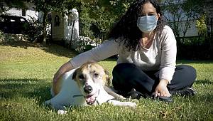 BEŞİKTAŞ BELEDİYESİ CAN DOSTLARININ YANINDA