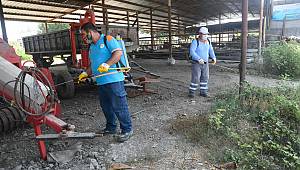 Büyükbaş hayvancılığın hastalıklardan korunması için İl Tarım Müdürlüğü ve Adana Büyükşehir Belediyesi iş birliği yapıyor