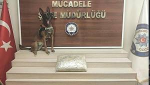 Gıda kolisinde naneyle kaplanan 10 kilo eroin ele geçirildi