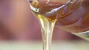 Kış Aylarının Kalkanı “Beykoz Kestane Balı” Pazara Hazır