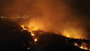 Pendik’te korkutan orman yangını
