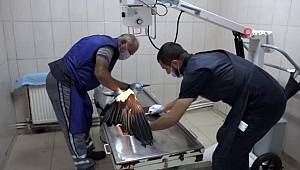 Yaralı Leyleğe Esenyurt Belediyesi sahip çıktı